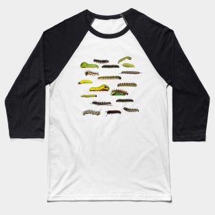 New England Caterpillars Baseball T-Shirt